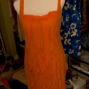 Kay Unger, Apricot sheer Summer dress.